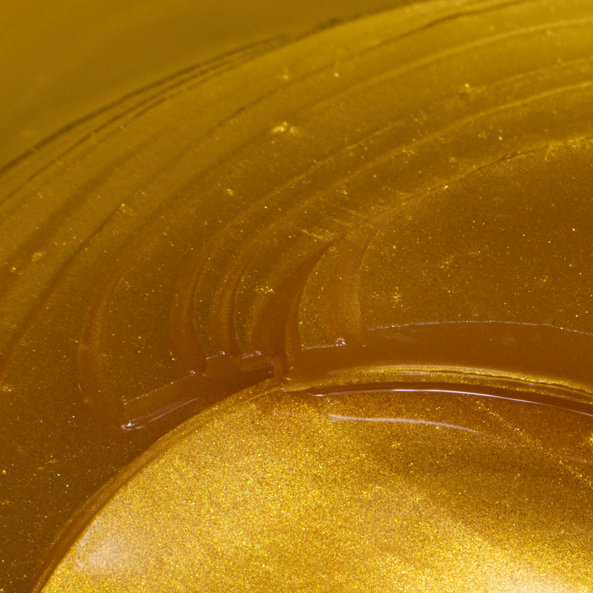 CCeye® Golden Pads (5 Stück)